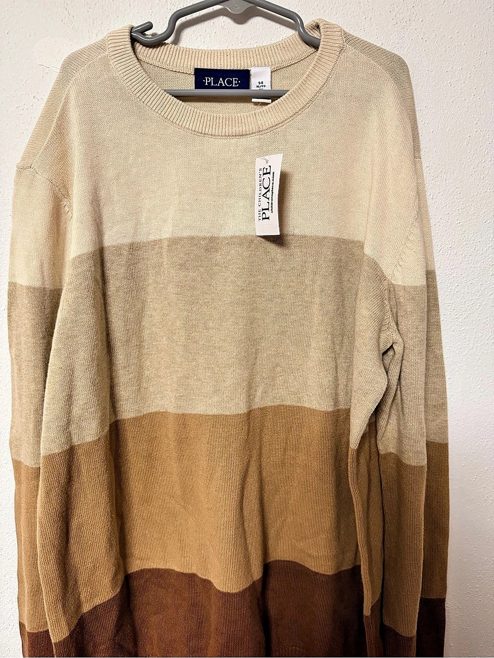 The Children's Place Boys Striped Sweater Boys XL Color Block